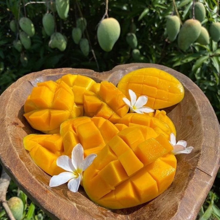 Mango nedir? mango faydaları, besin değerleri, vitaminleri ve kullanım alanları