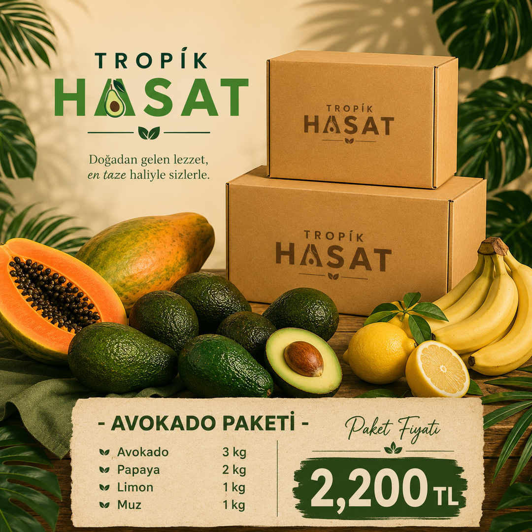 Avokado Paketi