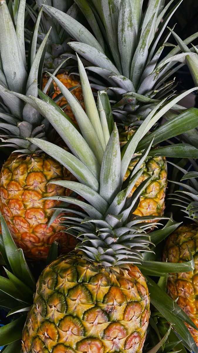 ANANAS