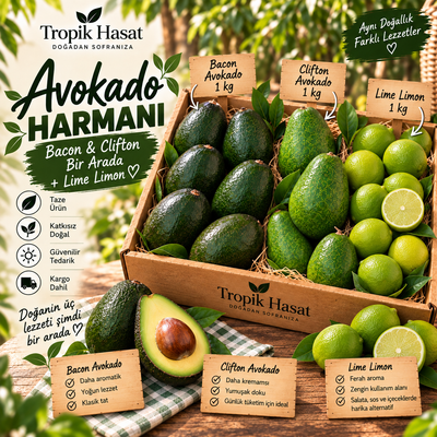 Avokado Harmanı