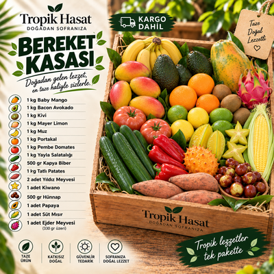 Bereket Kasası