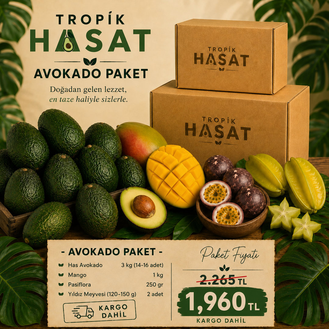 Avokado Paket